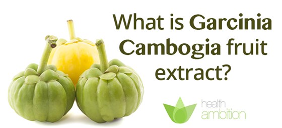Garcinia Cambogia: Zenboyd Lambert